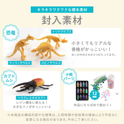 レジンクラフト 標本キット