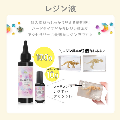 レジンクラフト 標本キット