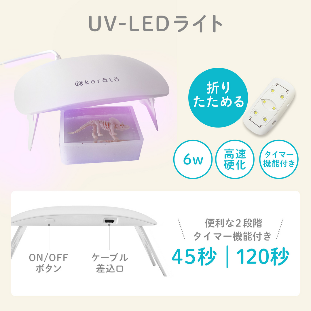レジンクラフト 標本キット