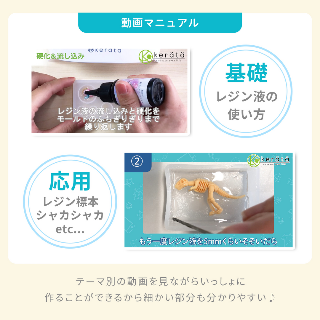 レジンクラフト 標本キット