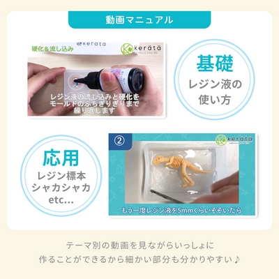レジンクラフト 標本キット