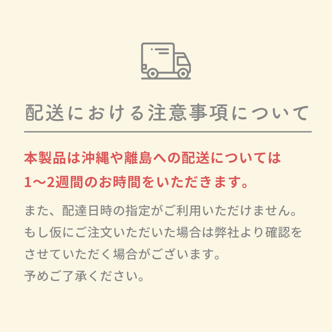レジンクラフト 標本キット