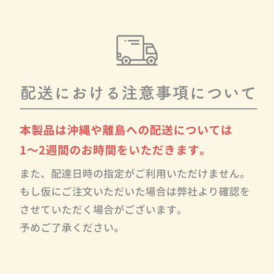 レジンクラフト 標本キット