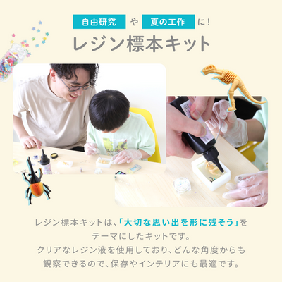 レジンクラフト 標本キット