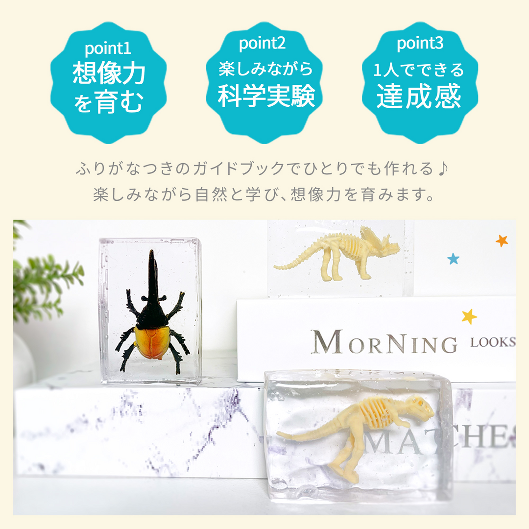 レジンクラフト 標本キット