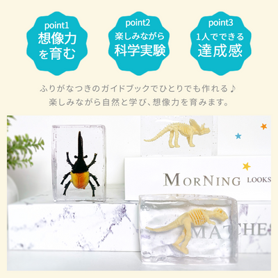 レジンクラフト 標本キット