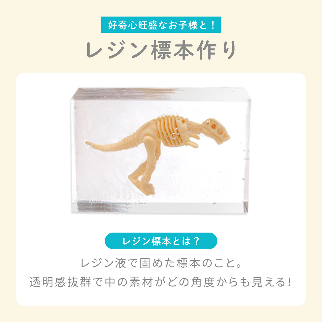 レジンクラフト 標本キット