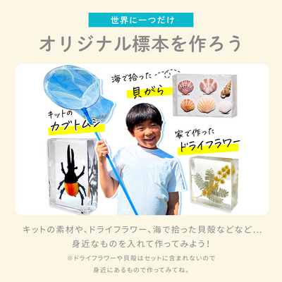レジンクラフト 標本キット