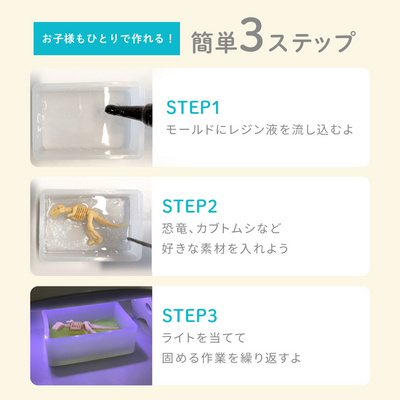 レジンクラフト 標本キット