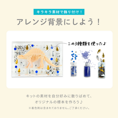 レジンクラフト 標本キット