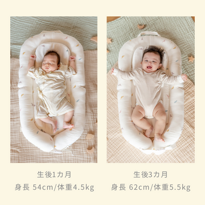 イブル® 折りたたみベッドインベッド（レモン）