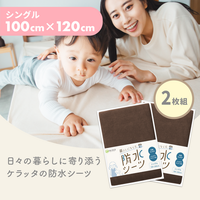 シングル（100×200cm） / 2枚入 / ブラウン