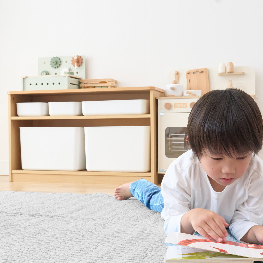 お片づけラック 収納BOXセット