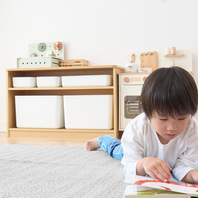 お片づけラック 収納BOXセット