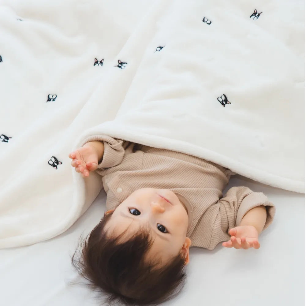 ふわもこイブル ブランケット